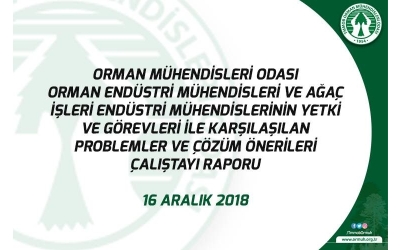 Mesleğimizin Yetki ve Görevleri ile Karşılaşılan Problemler ve Çözüm Önerileri