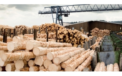 Orman ürünleri sektörünün yıl sonu ihracat beklentisi 10 milyar dolar