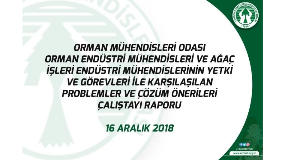 Mesleğimizin Yetki ve Görevleri ile Karşılaşılan Problemler ve Çözüm Önerileri