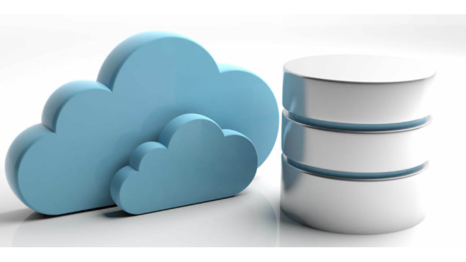 Dernek Veritabanı Çalışması